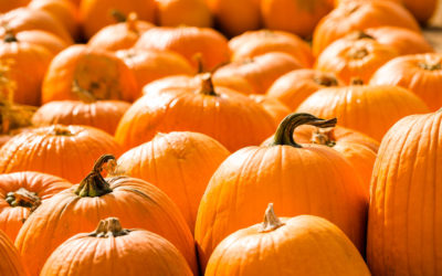 Pumpkin Pumpkin Pumpkin!!  Danielle Sikorski, registered dietitian
