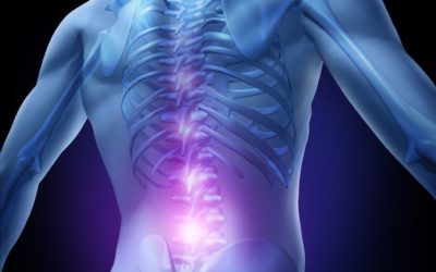 Low Back Pain Help! Davida’s experience
