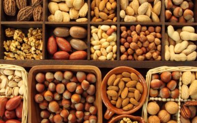 Healthy Fats: Why it Matters