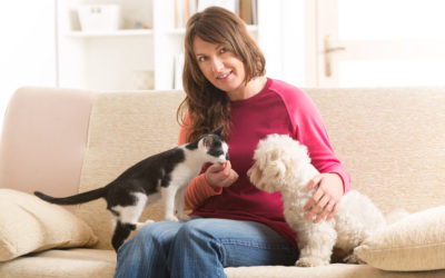 Pet Medications with Easy Drug Card