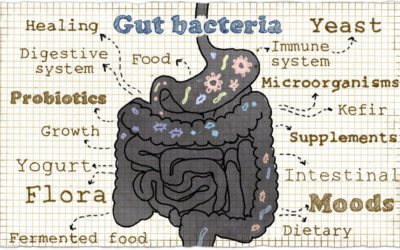 Probiotics:  Dr. Peter Rice