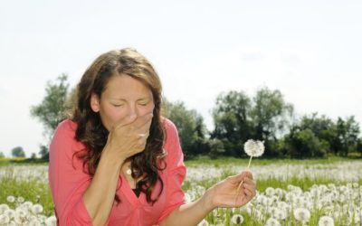 Springtime and Allergies