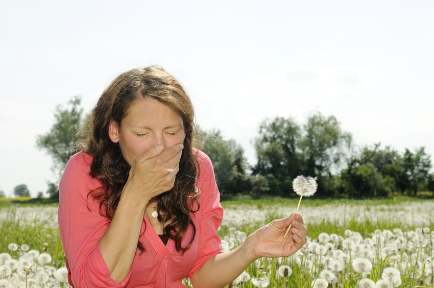 woman with allergies sneezing in field of flowers in spring