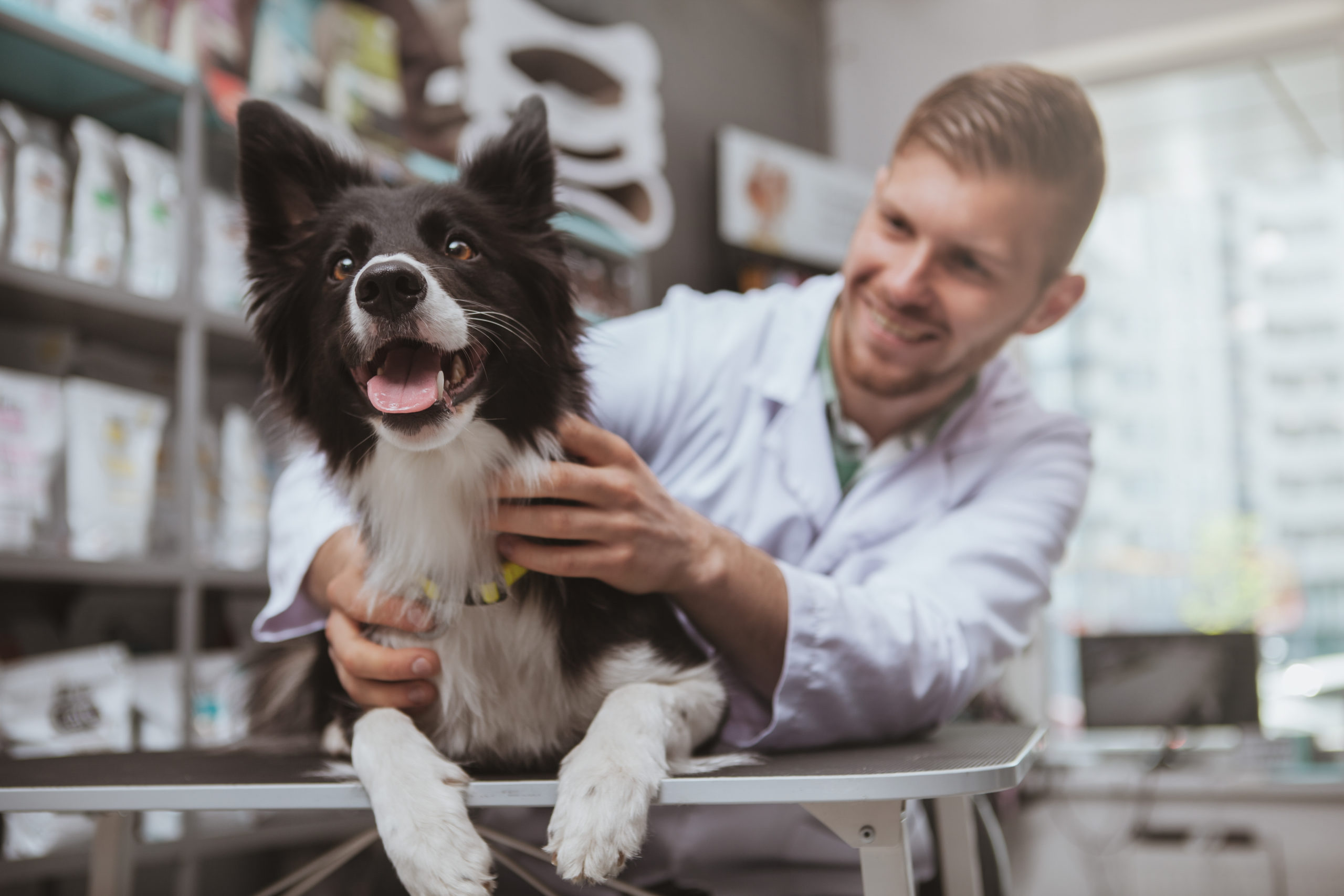 vet with dog discussing disount pet medication with pet owner