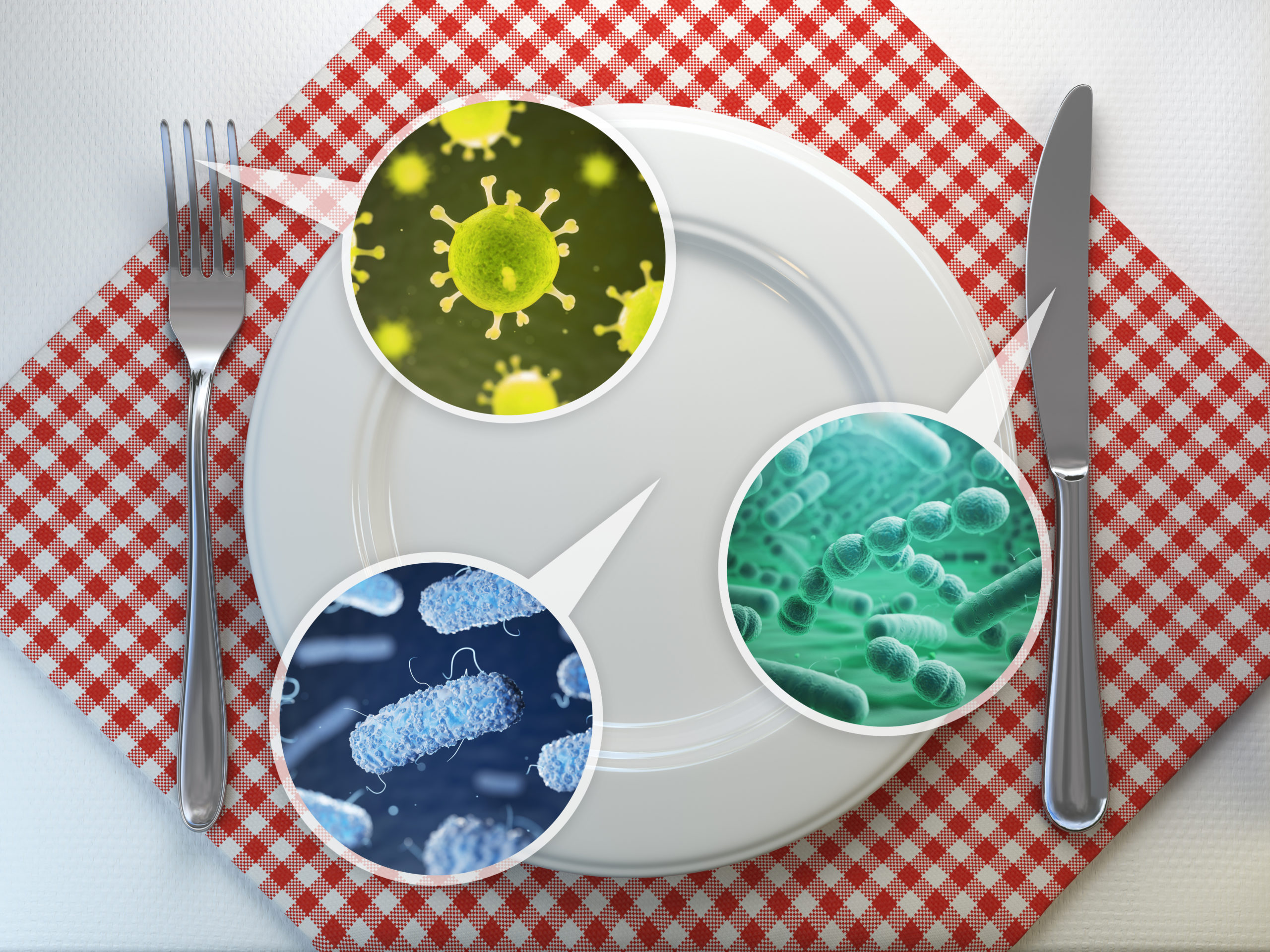 graphic of a plate showing germs on the plate, fork, and knife